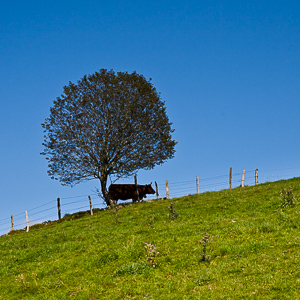 Rando en Auvergne