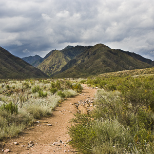 Mendoza